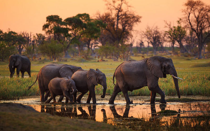 7 Days Safari to Tarangire, Serengeti & Ngorongoro Crater