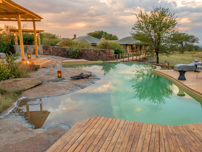 Exploring 7 Days Best Honeymoon Safari in Tanzania