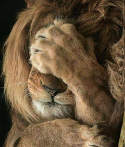 WhatsApp-Image-2023-11-11-at-4.04.49-PM-1