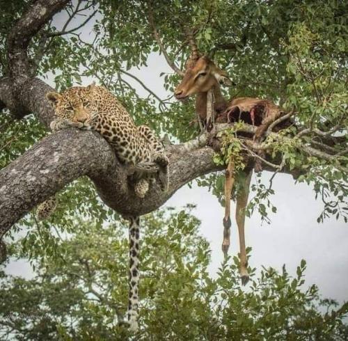 WhatsApp-Image-2023-11-11-at-4.04.55-PM