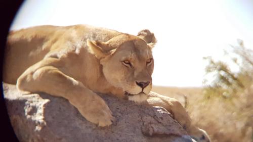 WhatsApp-Image-2023-11-11-at-4.05.05-PM-1