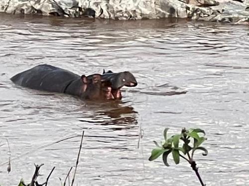 WhatsApp-Image-2023-11-11-at-4.05.06-PM-1