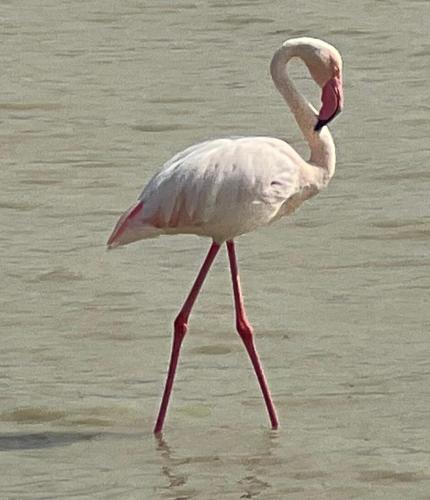 WhatsApp-Image-2023-11-11-at-4.05.06-PM