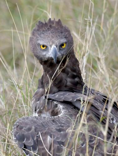 WhatsApp-Image-2023-11-11-at-4.05.07-PM