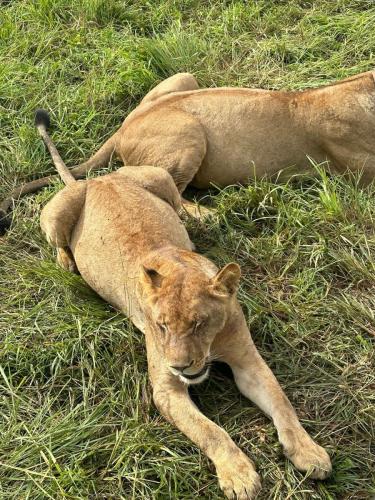 WhatsApp-Image-2023-11-11-at-4.05.11-PM-1