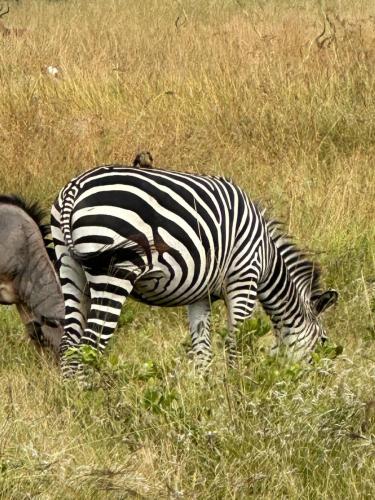 WhatsApp-Image-2023-11-11-at-4.05.12-PM-1