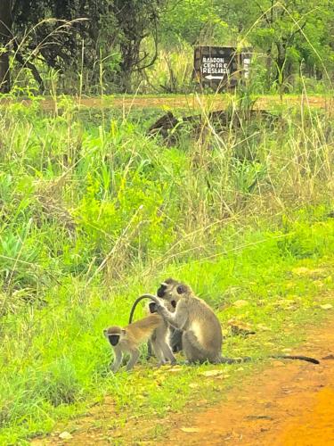 WhatsApp-Image-2023-11-18-at-1.34.22-PM-1