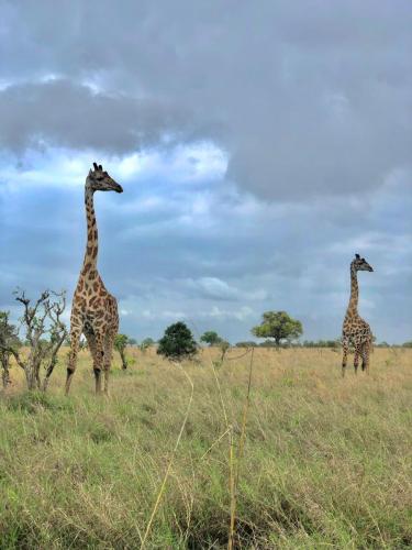 WhatsApp-Image-2023-11-18-at-1.34.22-PM