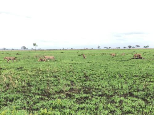 WhatsApp-Image-2023-11-18-at-1.34.23-PM-2