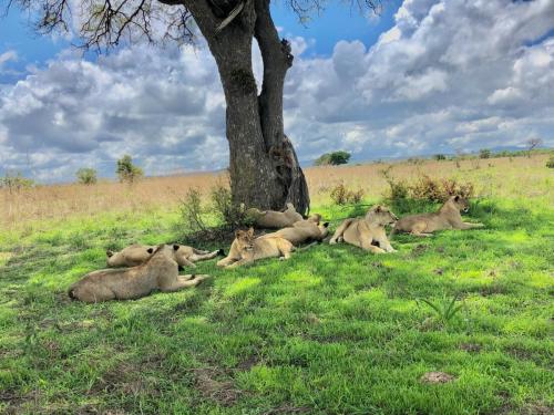 WhatsApp-Image-2023-11-18-at-1.34.23-PM-3