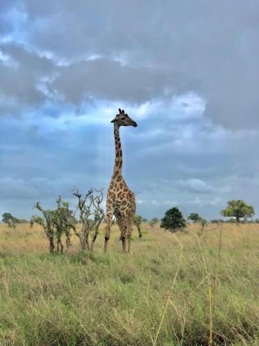 WhatsApp-Image-2023-11-18-at-1.34.23-PM