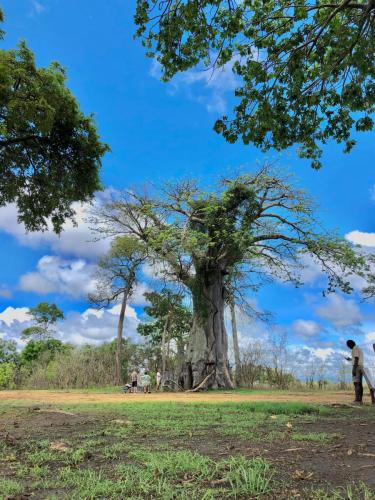 WhatsApp-Image-2023-11-18-at-1.34.24-PM-1