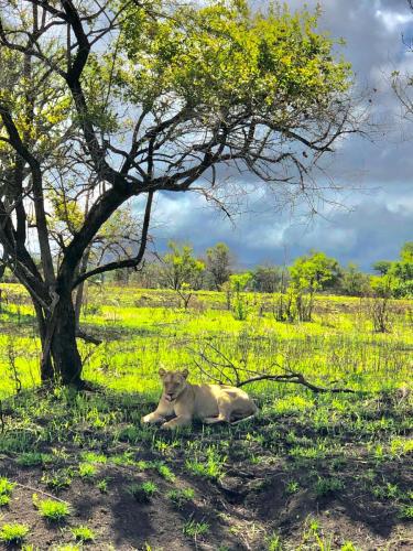 WhatsApp-Image-2023-11-18-at-1.34.24-PM-2