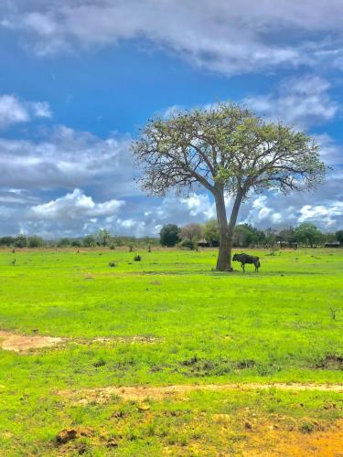 WhatsApp-Image-2023-11-18-at-1.34.24-PM-3