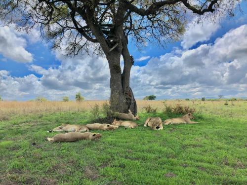 WhatsApp-Image-2023-11-18-at-1.34.24-PM