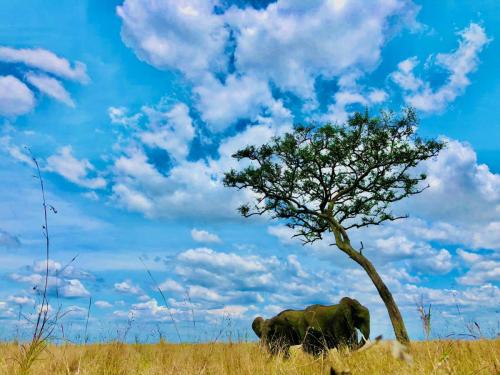 WhatsApp-Image-2023-11-18-at-1.34.25-PM-1