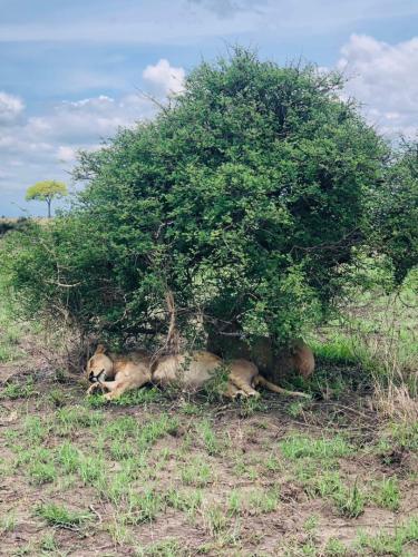 WhatsApp-Image-2023-11-18-at-1.34.25-PM-2