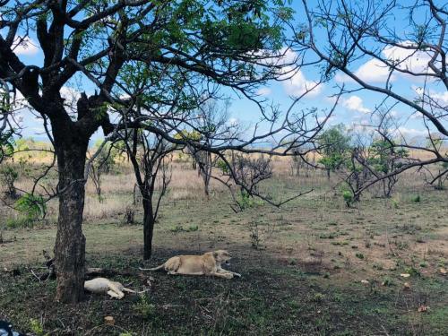 WhatsApp-Image-2023-11-18-at-1.34.26-PM-1