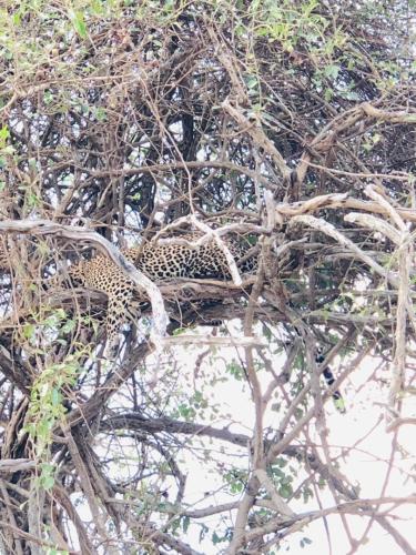 WhatsApp-Image-2023-11-18-at-1.34.26-PM