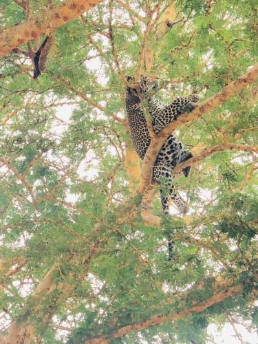 WhatsApp-Image-2023-11-18-at-1.34.27-PM-1