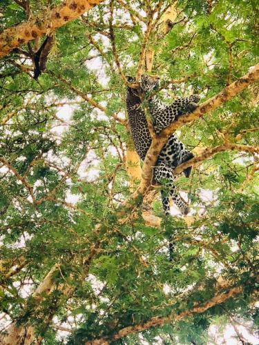 WhatsApp-Image-2023-11-18-at-1.34.27-PM-2