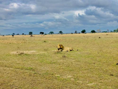 WhatsApp-Image-2023-11-18-at-1.34.27-PM