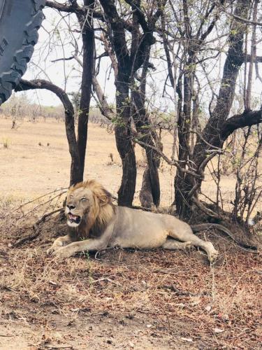 WhatsApp-Image-2023-11-18-at-1.34.28-PM-1