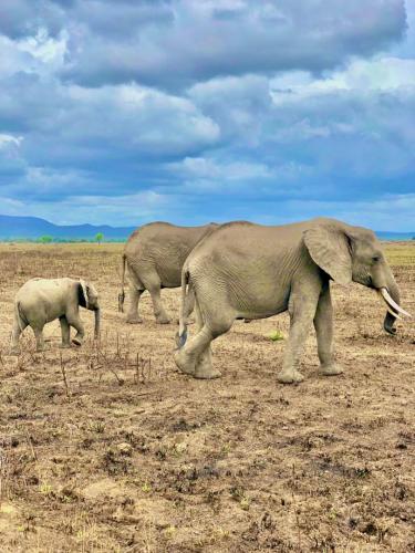 WhatsApp-Image-2023-11-18-at-1.34.28-PM-2