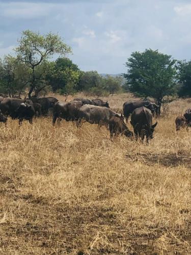 WhatsApp-Image-2023-11-18-at-1.34.28-PM