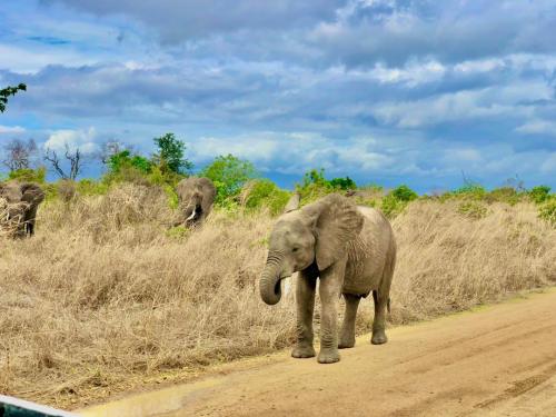 WhatsApp-Image-2023-11-18-at-1.34.29-PM