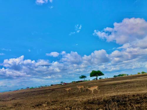 WhatsApp-Image-2023-11-18-at-1.34.30-PM-1