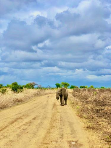 WhatsApp-Image-2023-11-18-at-1.34.30-PM