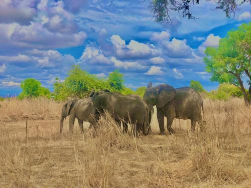 WhatsApp-Image-2023-11-18-at-1.34.31-PM